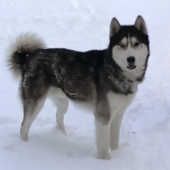 Meet your Posher, Joan - Picture 12 of 15